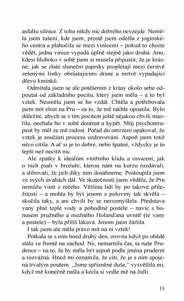 Náhled Kam včely chodí spát