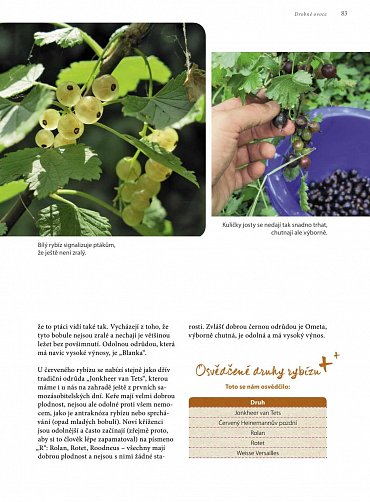 Náhled Jak se žije u Wohllebenů - Samozásobitelství v praxi