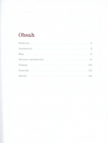 Náhled Stará Praha štětcem a objektivem