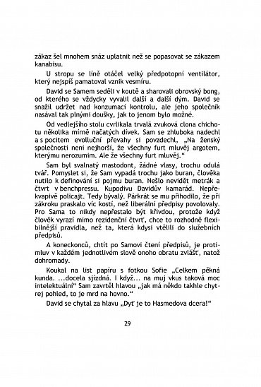 Náhled Liber Vitae