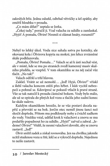 Náhled Vlčí věk 4 - Štěňata vlků