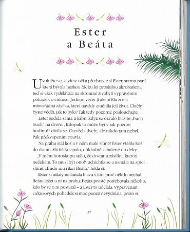 Náhled Pohádky pro malé Buddhy - Příběhy laskavosti a porozumění, které potěší a inspirují vás i vaše děti