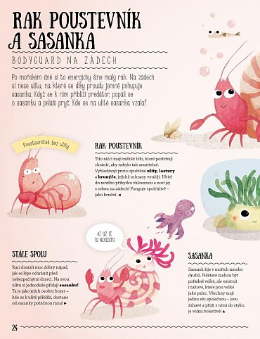 Náhled Nečekaná přátelství