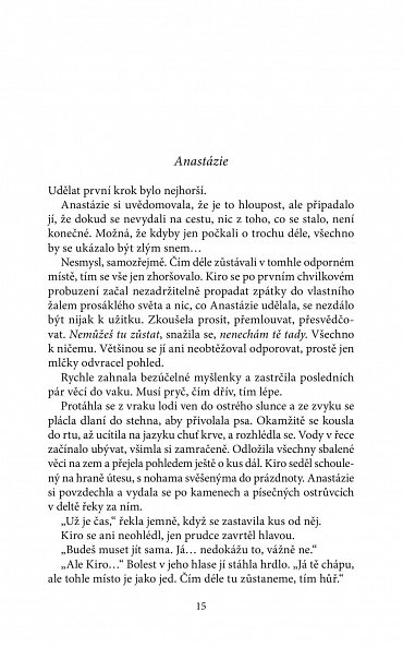 Náhled Čtyřměstí