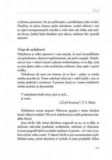 Náhled Prázdná židle - Učení, ne učitel