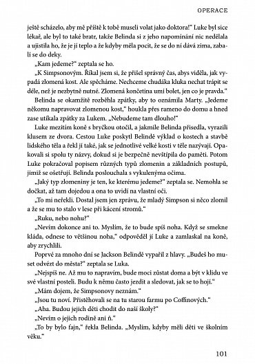 Náhled Sen lásky
