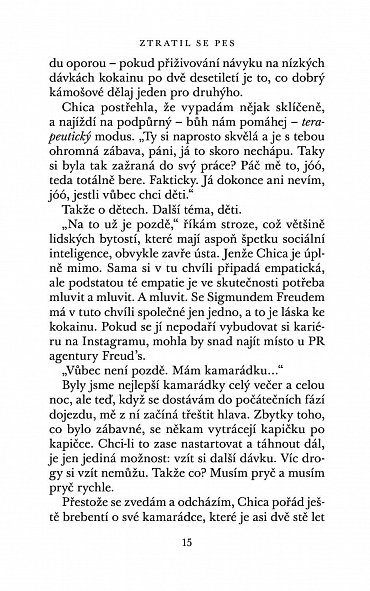 Náhled Ztratil se pes