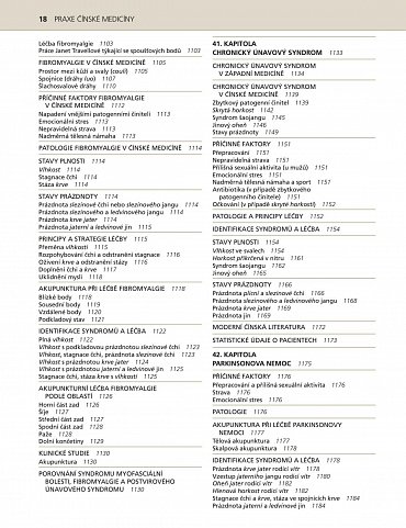 Náhled Praxe čínské medicíny - Léčba onemocnění pomocí akupunktury a čínských léčivých směsí