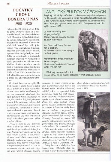 Náhled Německý boxer - Úplný přehled plemene