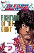Bleach 5: Right Arm of the Giant