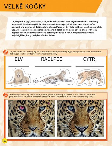 Náhled Velký sešit pro malé dobrodruhy