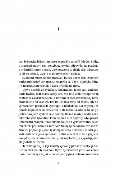 Náhled Půl žlutého slunce, 2.  vydání