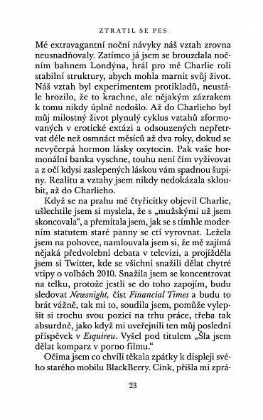 Náhled Ztratil se pes
