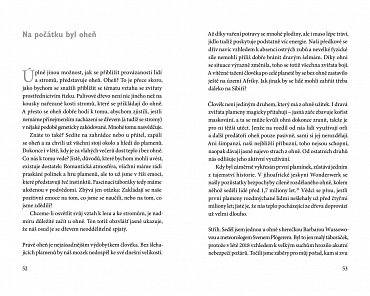 Náhled Tajemné pouto mezi člověkem a přírodou - Ohromující zjištění o 7 lidských smyslech, srdečním tepu stromů a otázce, zda mají rostliny vědomí