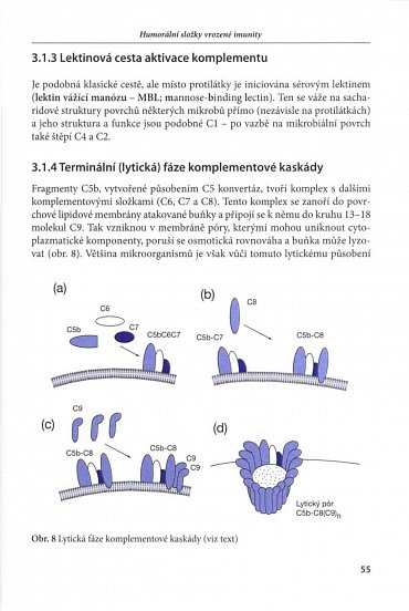 Náhled Základy imunologie, 6.  vydání