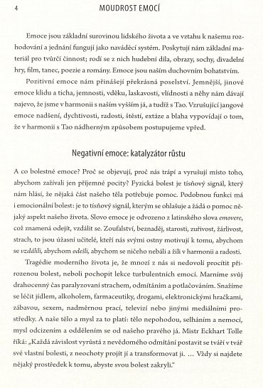 Náhled Moudrost emocí - Taoistické metody transformace hněvu, deprese a strachu