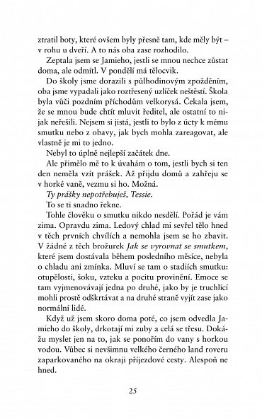 Náhled Dokonalá zrada