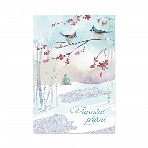 Vánoční přání - Dvě sýkorky