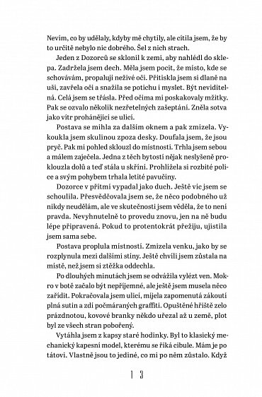 Náhled Střípky času