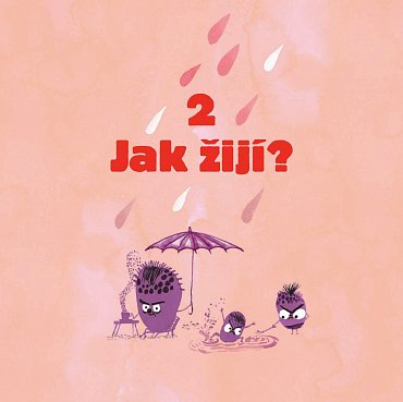 Náhled Jak bacit bacila?