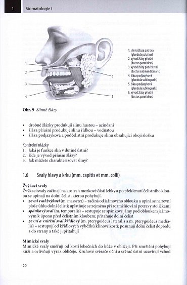Náhled Stomatologie I pro SZŠ a VOŠ