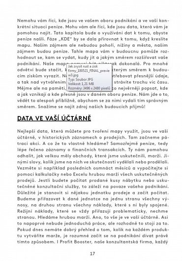 Náhled Zvyšte obrat a zisk firmy metodou Profitbooster