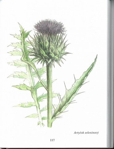 Náhled Herbář léčivých rostlin 1 (A - D)