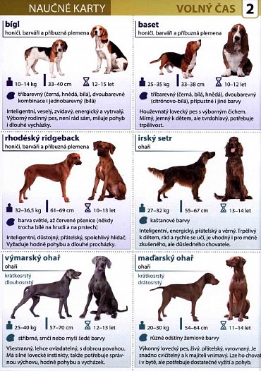 Náhled Nejoblíbenější plemena psů - Naučná karta