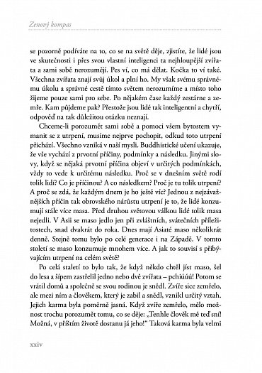 Náhled Zenový kompas