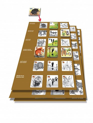 Náhled Pexetrio - Savci