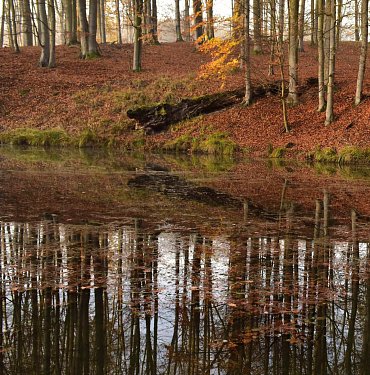 Náhled Lánská obora v proměnách času