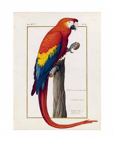 Náhled Bestiář: Pozvěte umění domů! 21 obrazů k zarámování