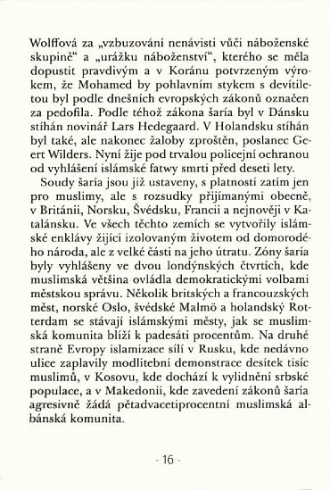 Náhled O islamizaci a demokracii v Egyptě