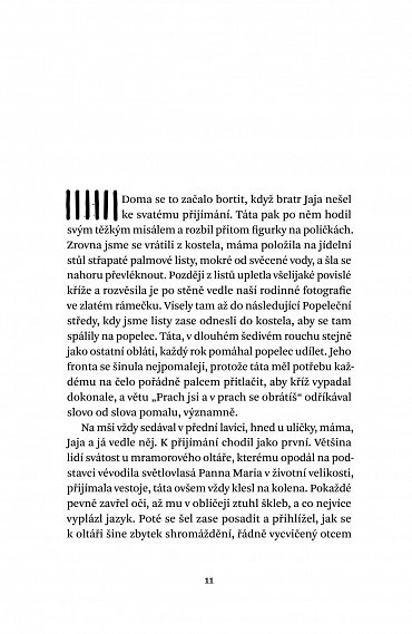 Náhled Purpurový ibišek