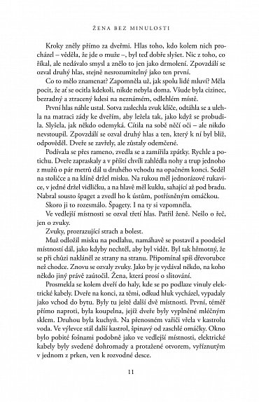 Náhled Žena bez minulosti