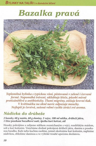 Náhled Bylinky na talíři i v domácím léčení