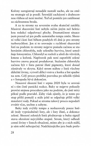 Náhled Než stromům dojde dech - Jak se stromy učí zvládat změnu klimatu a proč nás les zachrání, když mu to dovolíme