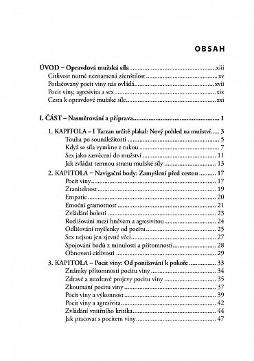Náhled Opravdový muž - Cesta ke skutečné mužské síle