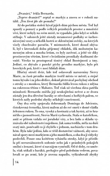 Náhled O lásce a jiných běsech