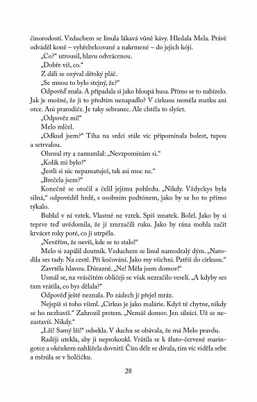 Náhled Všechny touhy vedou do Říma