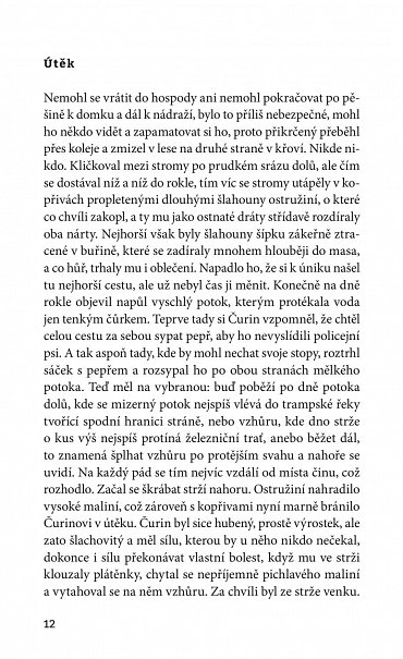 Náhled Letní valčíky