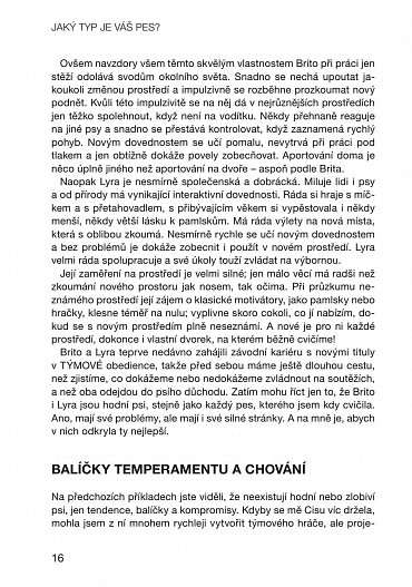 Náhled Jaký typ je váš pes? - Přizpůsobte tréninkové metody povaze svého psa