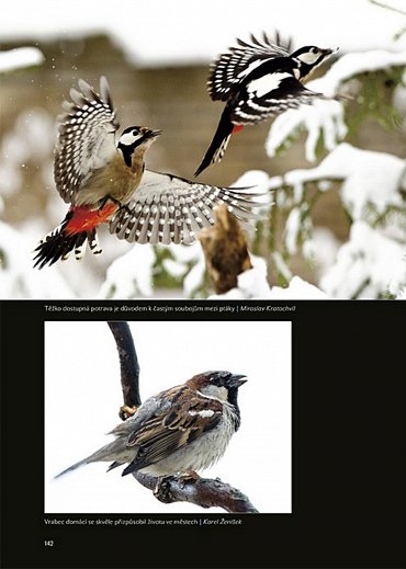 Náhled Prchavé okamžiky přírody - Fotoaparátem od jara do zimy