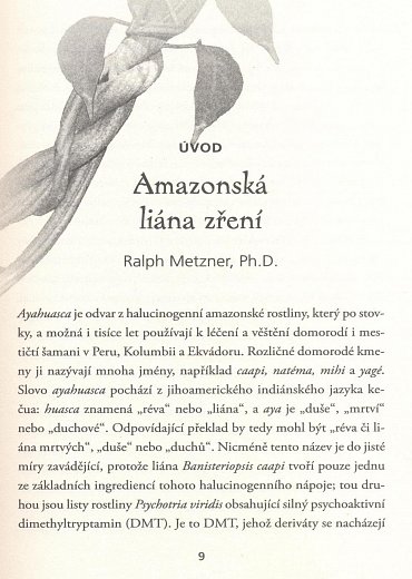 Náhled Ayahuasca jako lék - zkušenosti a léčení