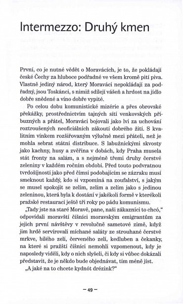 Náhled Češi na vlásku - Příručka národního přežívání