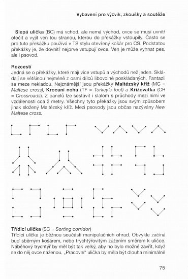 Náhled Pasení se psem - Sport, práce i zábava (nejen) pro každou borderku
