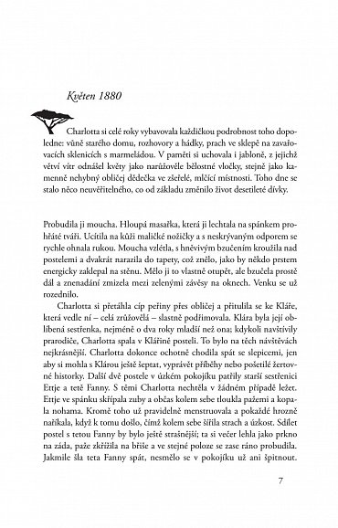 Náhled Nebe nad Kilimandžárem