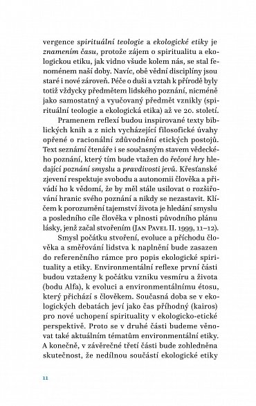 Náhled Ekologická spiritualita a etika