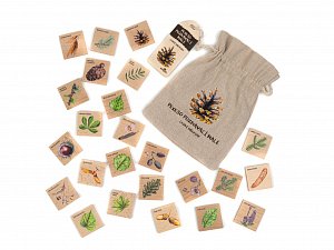 Pexeso poznávací malé - Lesní dřeviny