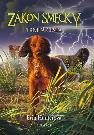 Zákon smečky 4 - Trnitá cesta